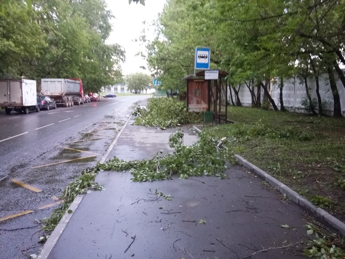 В Москве прошел разрушительный ураган  фото