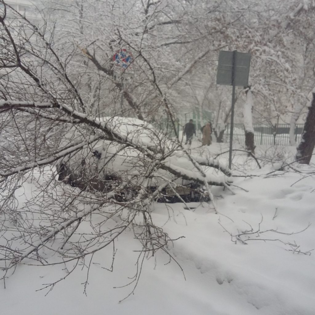 В Москве в результате снежного шторма пострадали пять человек  фото