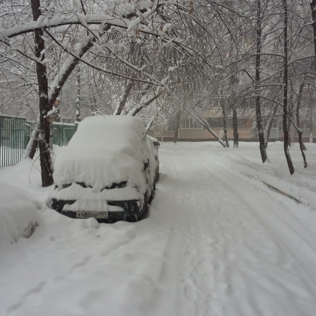 В Москве в результате снежного шторма пострадали пять человек  фото