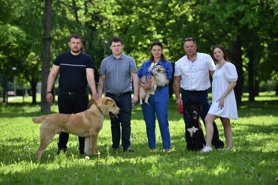 Новая площадка для выгула собак появится в районе Чертаново Северное&nbsp;  фото
