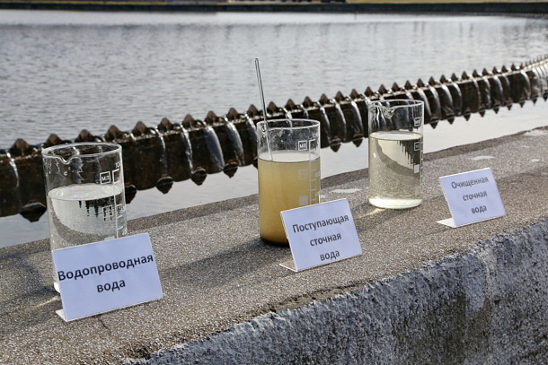 Осетры тестируют качество воды в Москве-реке  фото
