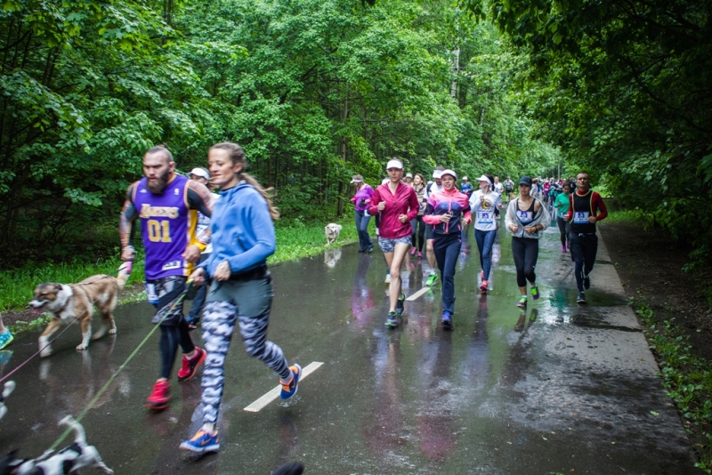 В парке «Кузьминки» 10 июня пройдет благотворительный «Пушистый забег»  фото