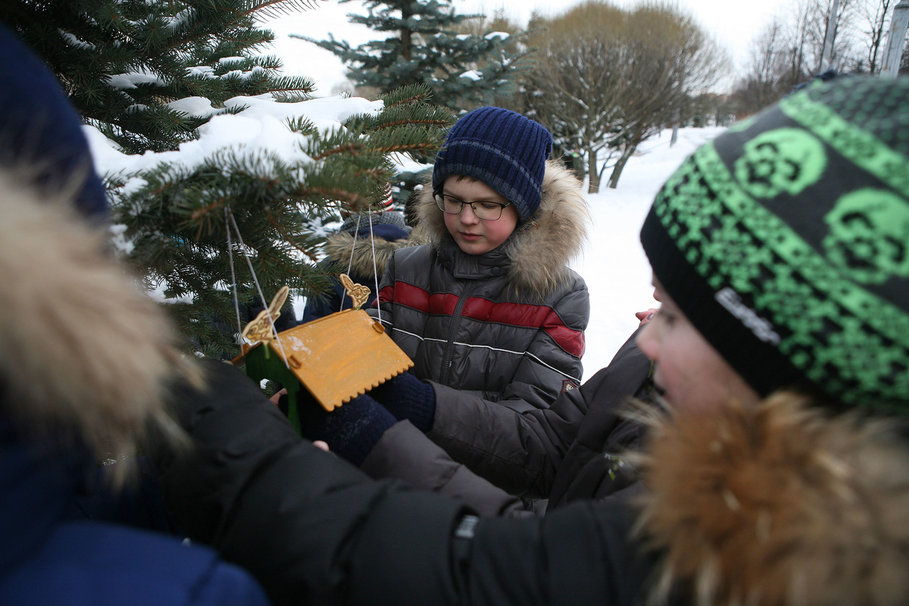 В московских школах стартовала экологическая акция «Накорми птиц»  фото