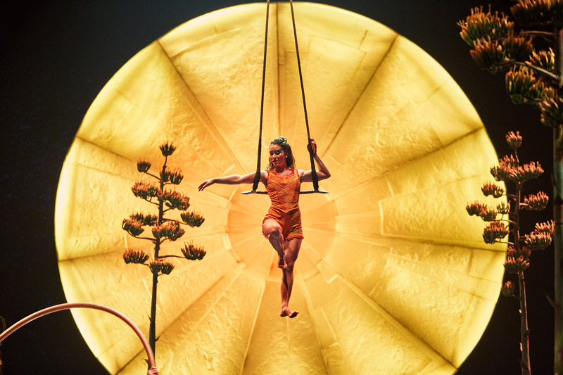 LUZIA™ от Cirque du Soleil: Шоу, которое все ждали!  фото