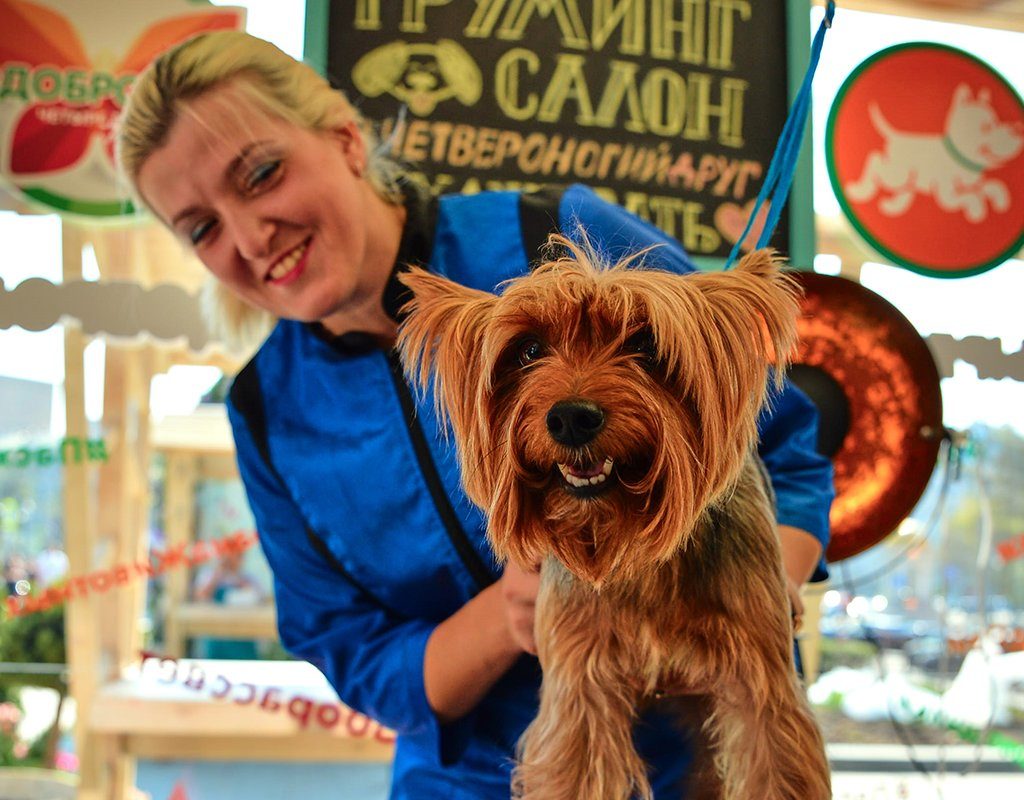 Уроки добра и царская еда: в Москве открывается фестиваль «Пасхальный дар»  фото