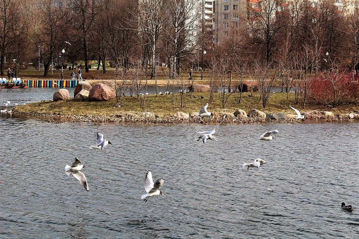 В парке «Ангарские пруды» пройдет фестиваль «Народная рыбалка», фото