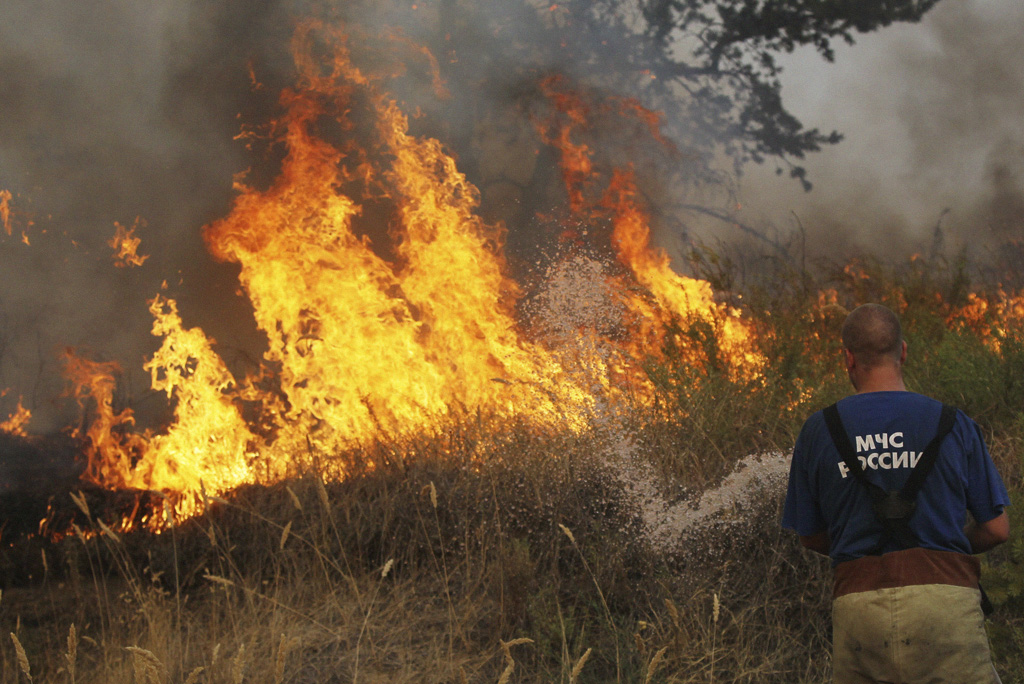 В Москве и области объявили об угрозе лесных пожаров, фото