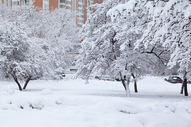 В Москве ожидается увеличение снежного покрова до 10 сантиметров, фото