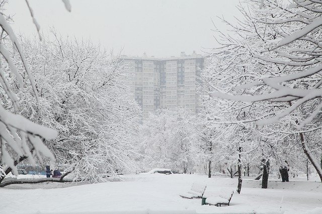 В Москве продлили «желтый» уровень погодной опасности, фото