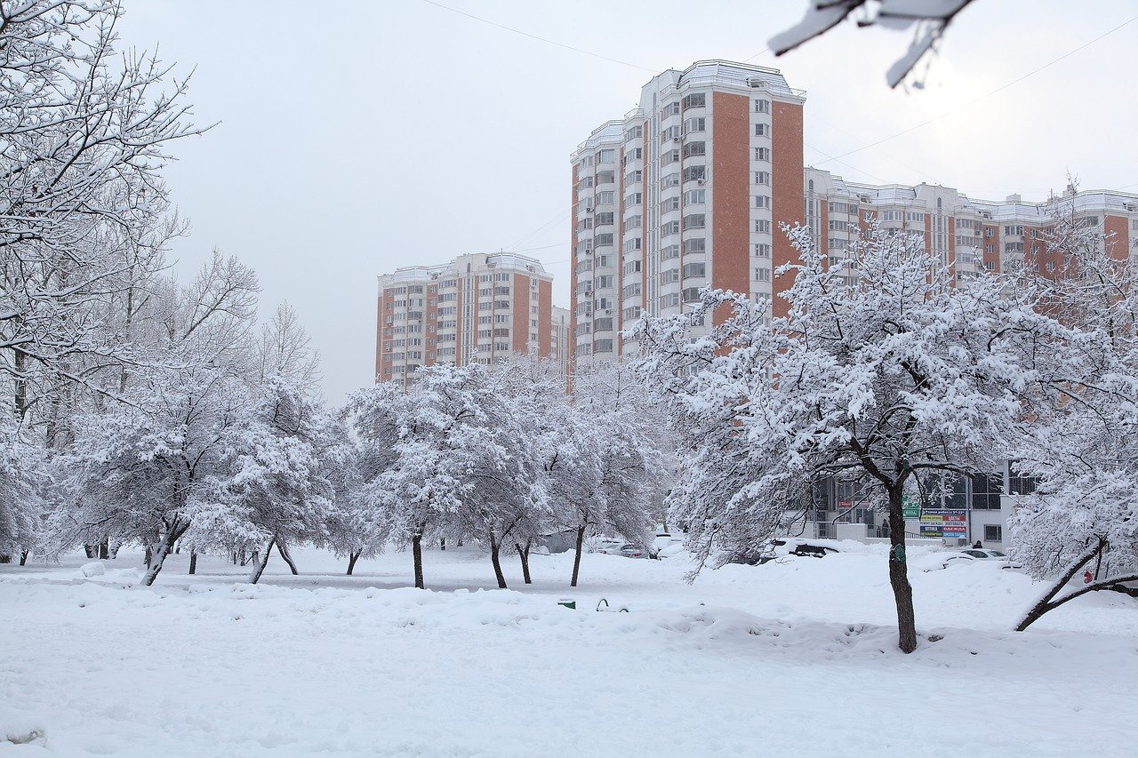 Мокрый снег и ветер ожидаются в Москве 11 февраля, фото