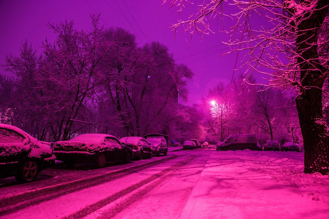 Температурные аномалии сохранятся в Москве в выходные, фото
