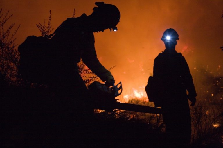 В Москве создана группировка для борьбы с природными пожарами, фото