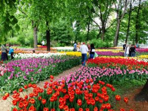 Гонка героев, мастер-классы и фестиваль цветов: чем заняться в городских парках  фото