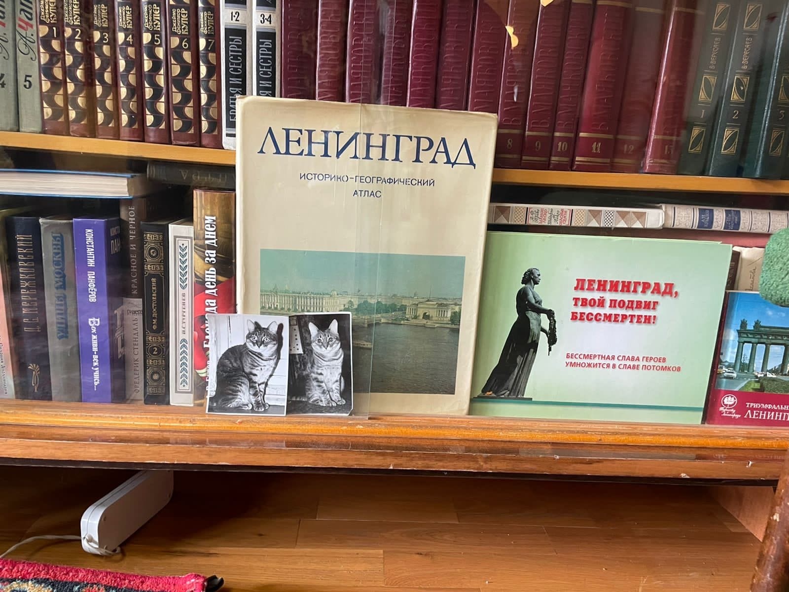 В районе Москворечье-Сабурово блокаднице передали памятную книгу , фото